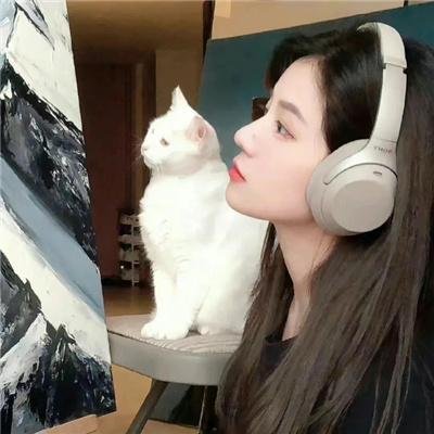 名媛双胞案
