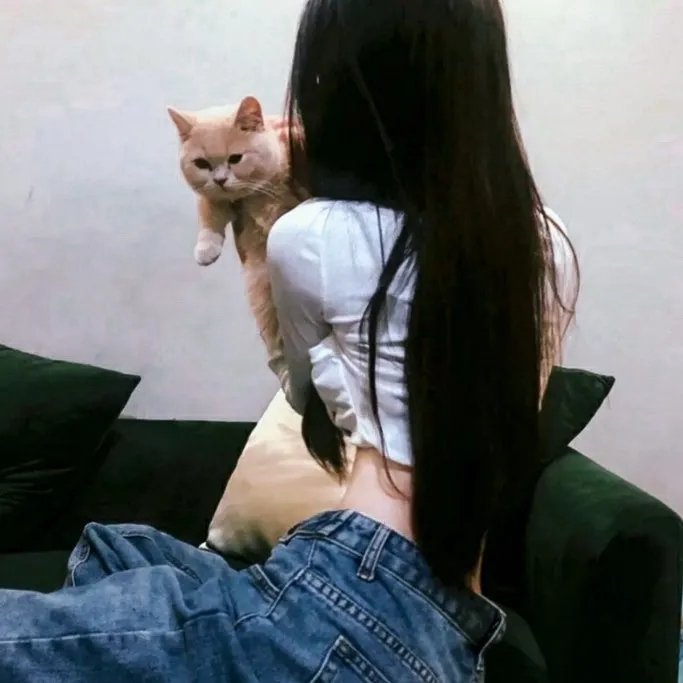 猫头鹰之森